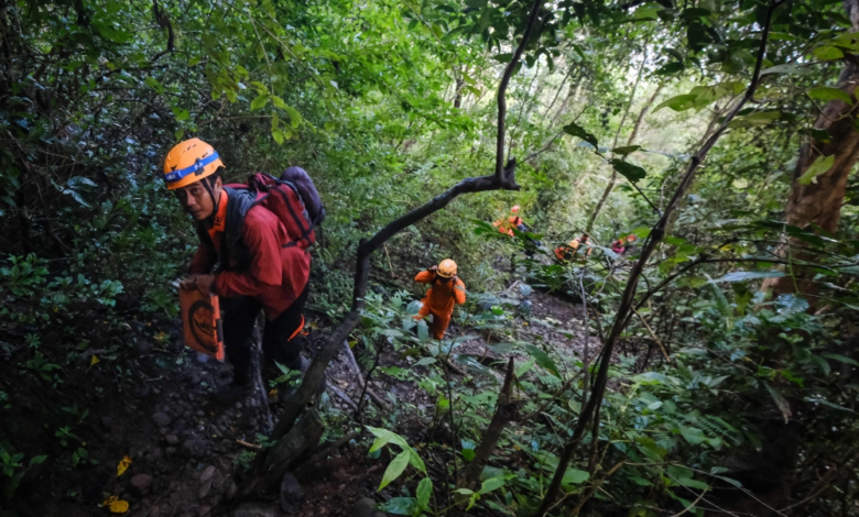 Indonesia declares a state of emergency in Kupu Raya due to forest fires