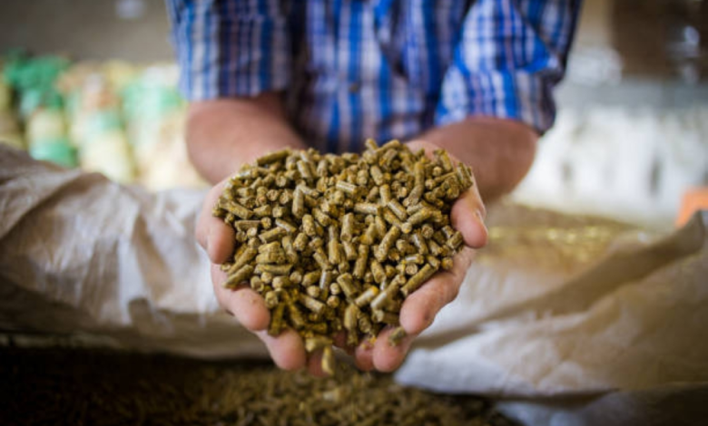 موعد إيقاف زراعة الأعلاف المعمرة في السعودية رسمياً