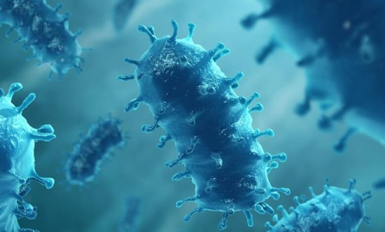 الصحة السعودية: لا قلق من فيروس نيباه والوضع تحت السيطرة