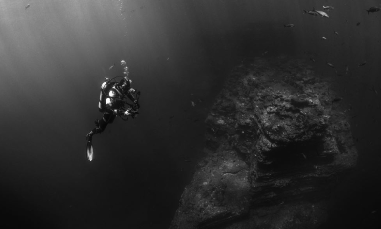 روبوتات يابانية تدرس الأكسجين الداكن في المحيط الهادي