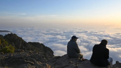 شتاء أبها الساحر.. السحب تعانق قمم الجبال وغابات العرعر