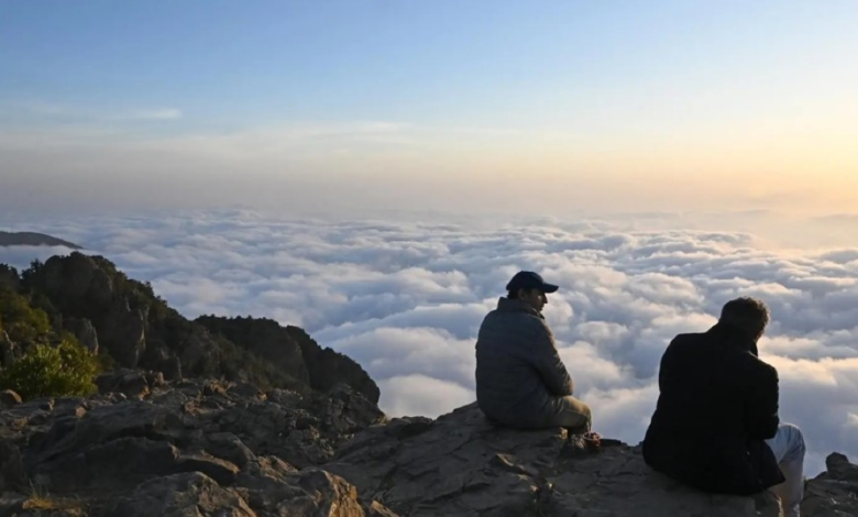 شتاء أبها الساحر.. السحب تعانق قمم الجبال وغابات العرعر