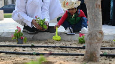 بلدية الظهران تزرع 155 ألف زهرة لتعزيز جودة الحياة والمشهد الحضري
