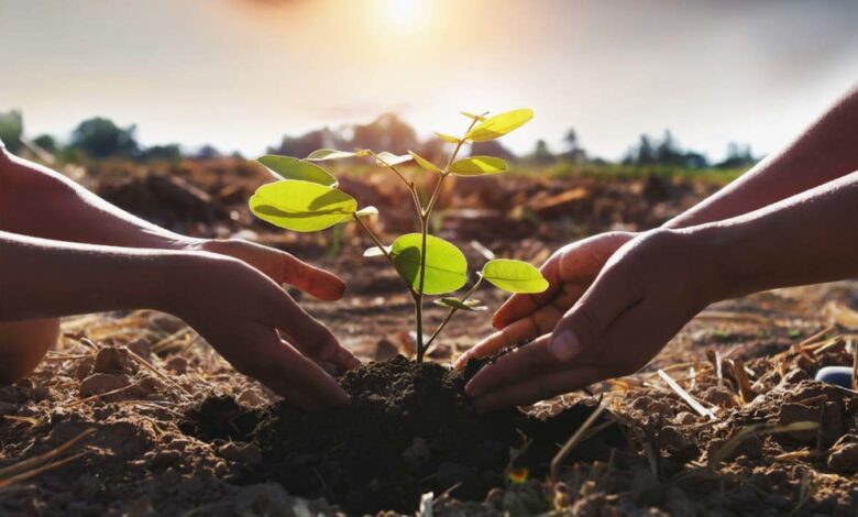 انطلاق المجلس الوزاري لمبادرة الشرق الأوسط الأخضر بجدة