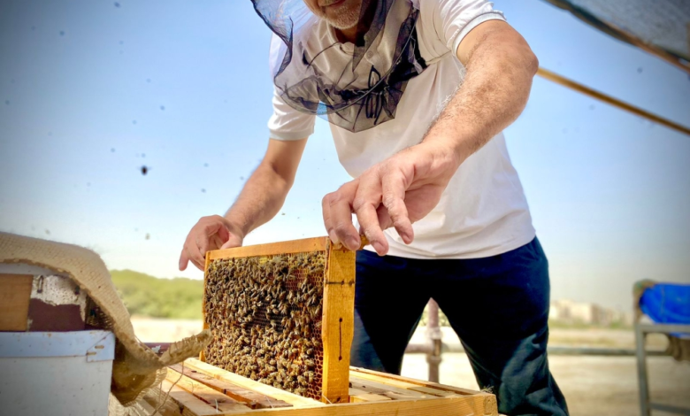 "ريف السعودية" يوزع 1800 طرد معدات حديثة للنحالين