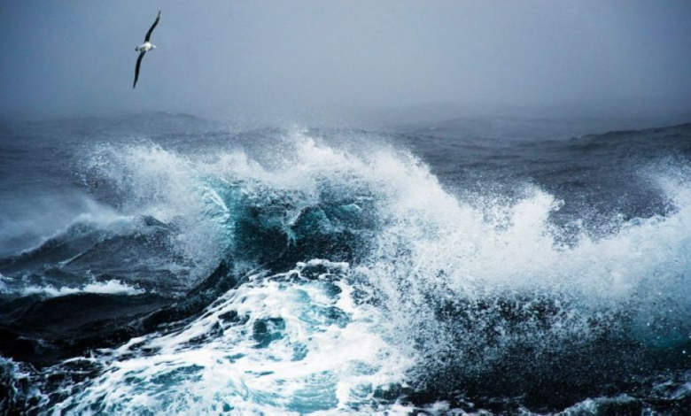 حالة الطقس في السعودية: أمطار رعدية وغبار على هذه المناطق