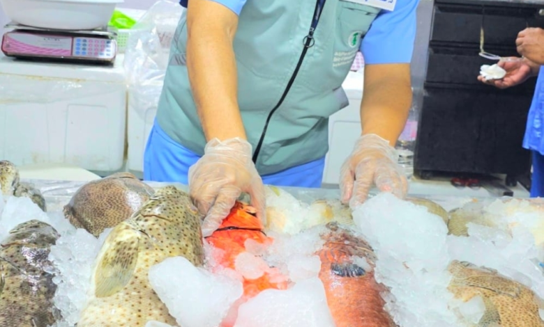 جدة: مصادرة طن أسماك فاسدة ورصد 738 مخالفة صحية