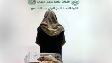 ضبط مخالفين لنظام البيئة في عسير ومحمية طويق وعقوبات رادعة