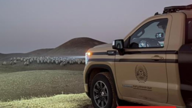 ضبط مخالفات رعي وإشعال نار بمحمية الملك عبدالعزيز وطويق