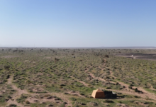 وادي الجريرة في خيبر.. طبيعة خلابة تجذب المتنزهين (صور)