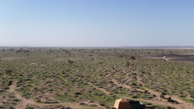 وادي الجريرة في خيبر.. طبيعة خلابة تجذب المتنزهين (صور)