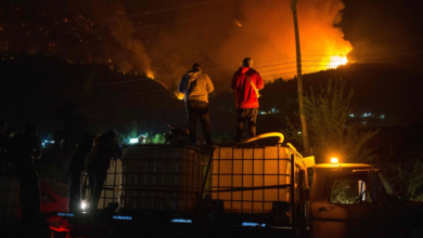 الأرجنتين تعلن الطوارئ بسبب حرائق الغابات في باتاغونيا