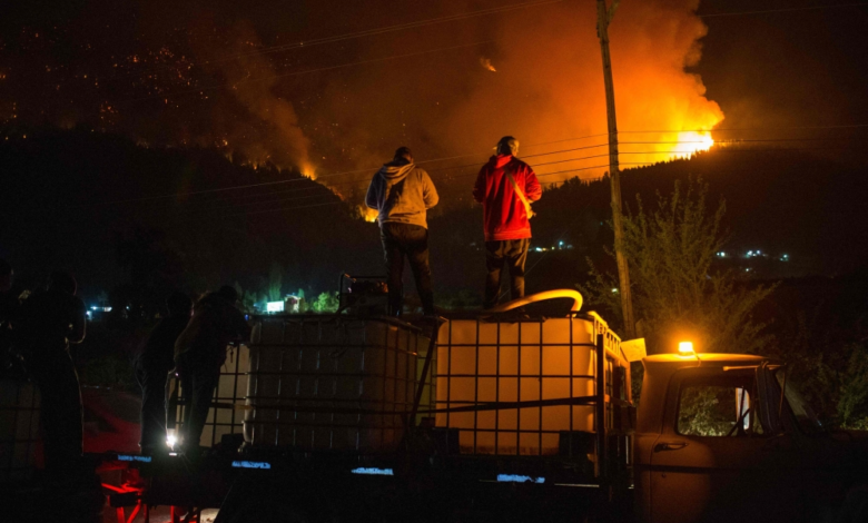 Argentina declares a state of emergency due to forest fires in Patagonia