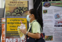 MERS virus stabilization: UN report praises Saudi efforts