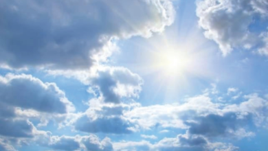 Saudi Arabia's weather in February: Heavy rain and high temperatures