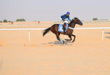 Requirements for organizing equestrian sports in Saudi Arabia: 100 million riyals in financial solvency