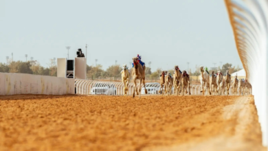 قرية الجنادرية ومهرجان خادم الحرمين للهجن: استثمار في التراث