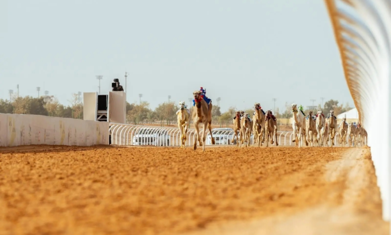 قرية الجنادرية ومهرجان خادم الحرمين للهجن: استثمار في التراث