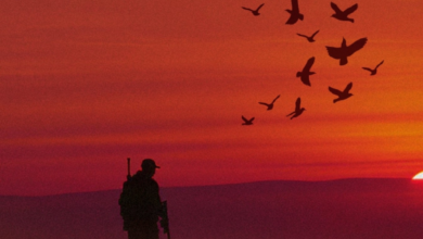 انتهاء موسم الصيد 2025-2026 في السعودية: تفاصيل النجاح والقرارات