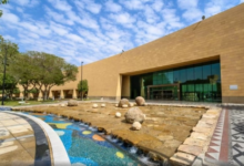 Museums Authority and Centre Pompidou: A partnership to promote contemporary art