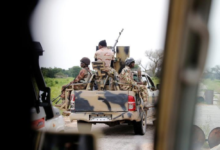 Eleven militants killed in Nigerian army operation in Borno State