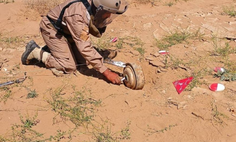 Project Masam removes 2,108 mines in Yemen: Week 4 of January