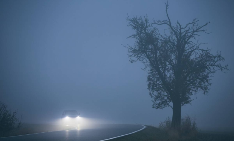 Meteorological authorities warn of dense fog and reduced visibility in five Saudi regions today