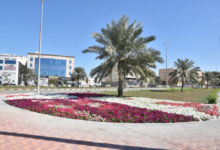 القطيف: 1.7 مليون متر مسطحات خضراء و185 حديقة ضمن رؤية 2030