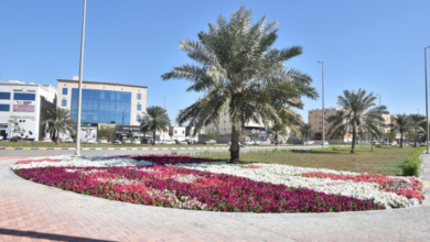 القطيف: 1.7 مليون متر مسطحات خضراء و185 حديقة ضمن رؤية 2030