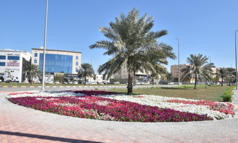 القطيف: 1.7 مليون متر مسطحات خضراء و185 حديقة ضمن رؤية 2030