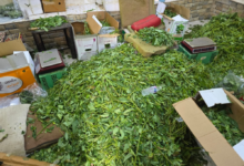 أمانة جدة تتلف طن أغذية فاسدة وتغلق مواقع عشوائية