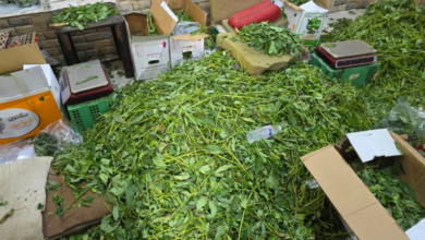 أمانة جدة تتلف طن أغذية فاسدة وتغلق مواقع عشوائية