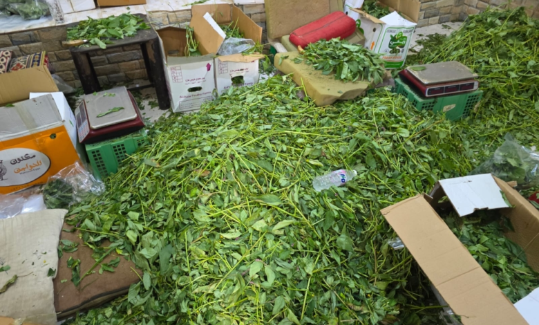 أمانة جدة تتلف طن أغذية فاسدة وتغلق مواقع عشوائية