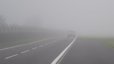 Saudi Arabia weather: Dense fog and reduced visibility in 5 regions - Meteorological warning