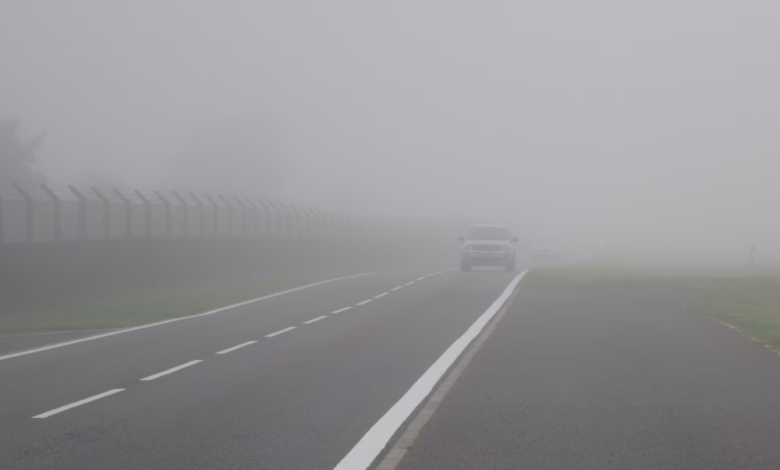 Saudi Arabia weather: Dense fog and reduced visibility in 5 regions - Meteorological warning