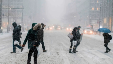 نيويورك تسجل 13 وفاة بسبب موجة صقيع تاريخية