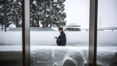 تساقط الثلوج في اليابان يقتل 30 شخصاً والجيش يتدخل