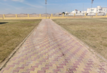 Al-Rafia Municipality: Planting 6,000 trees and removing visual distortions