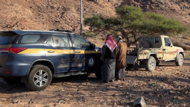 Violators caught cutting down trees in Tabuk and fined 20,000 riyals