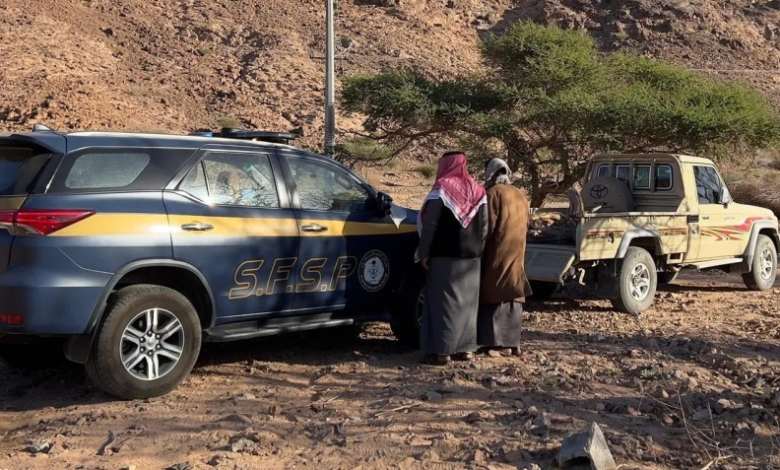 Violators caught cutting down trees in Tabuk and fined 20,000 riyals