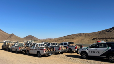 ضبط 9 مخالفين لنظام البيئة في تبوك لبيعهم حطب محلي