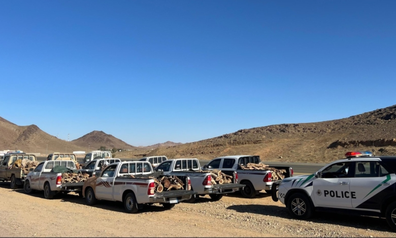 Nine people were arrested in Tabuk for violating environmental regulations by selling local firewood