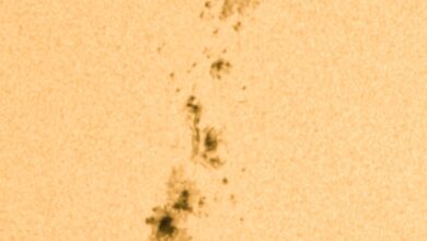 فلكية جدة ترصد بقعة شمسية عملاقة AR4366 وتأثيراتها