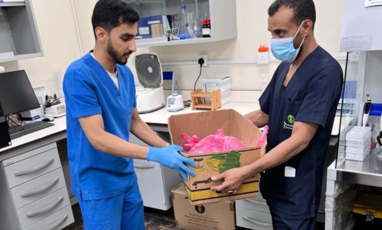 البيئة تفحص متبقيات المبيدات بأسواق مكة لضمان سلامة الغذاء