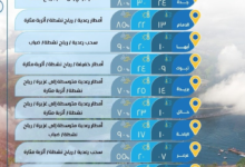 Saudi Arabia weather: Rain and temperatures up to 22 degrees Celsius in Riyadh and Dammam