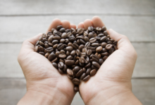 البرازيل تتوقع محصول بن قياسي لعام 2026 يتجاوز 66 مليون كيس