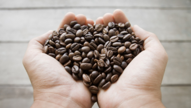 Brazil expects a record coffee harvest in 2026 exceeding 66 million bags