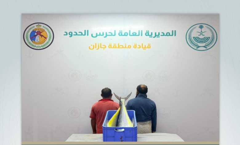 Jazan: Residents arrested for violating marine fishing regulations in Bish