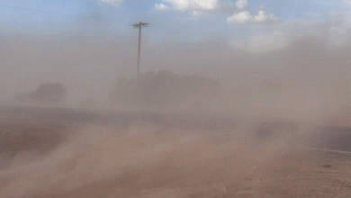 Saudi Arabia weather: Winds and dust in Al-Jawf, and rain in the Eastern Province