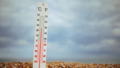 Saudi Arabia weather today: Heavy rain in Riyadh and Dammam and temperatures